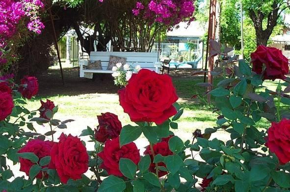 Riverside 4* Bourke